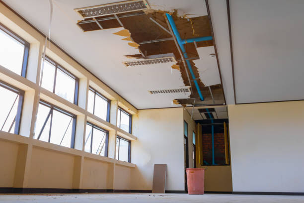 Best Flooded house restoration  in Greensburg, KY
