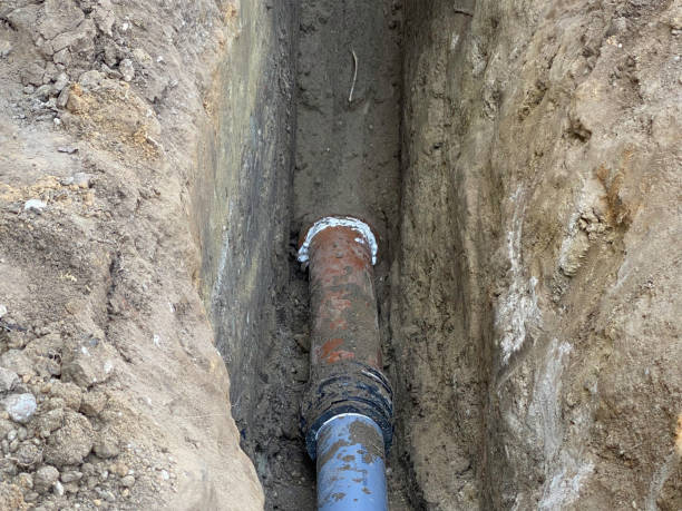 Best Emergency water extraction  in Greensburg, KY