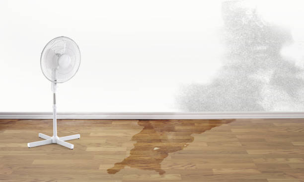 Best Commercial water damage restoration  in Greensburg, KY
