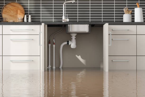 Best 24/7 water damage repair  in Greensburg, KY