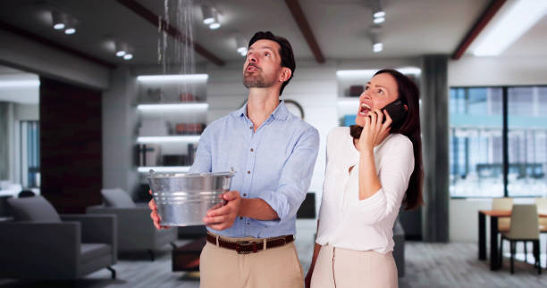 Best Professional water damage repair  in Greensburg, KY