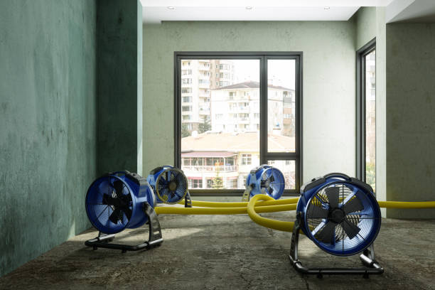 Best Sewage cleanup and water damage restoration  in Greensburg, KY